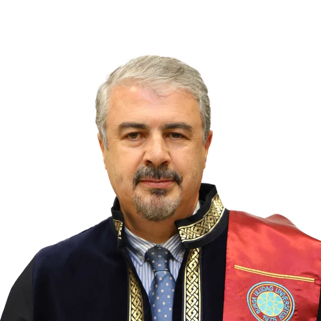 Prof. Dr. Vejdi BİLGİN